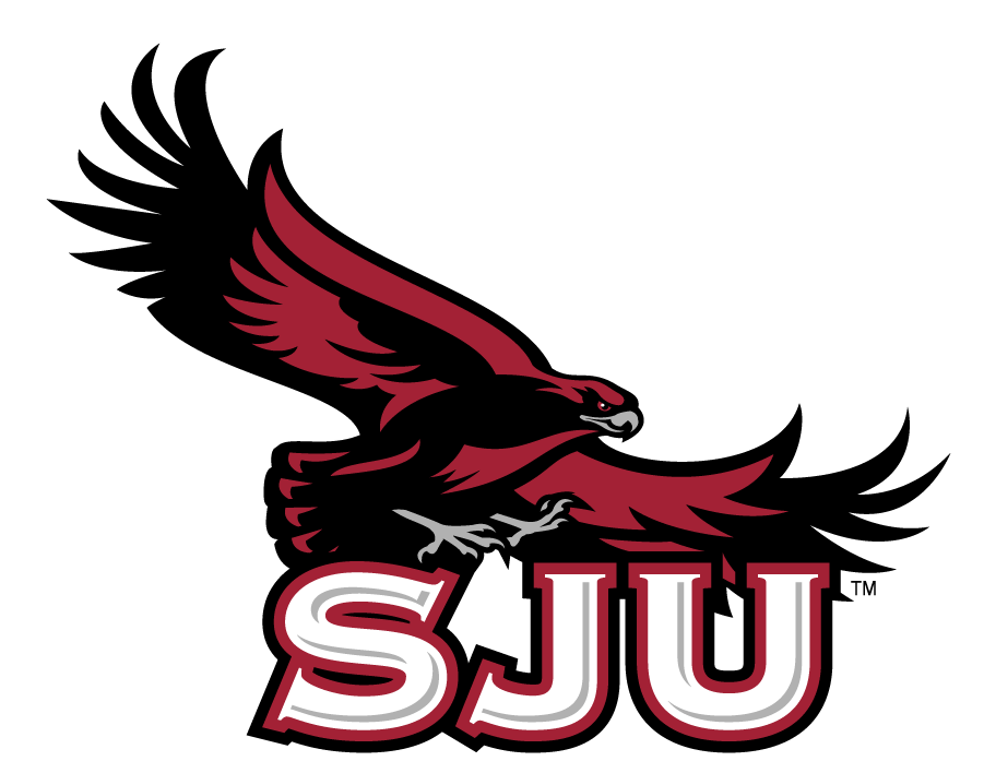 St. Joseph's Hawks 2002-2018 Secondary Logo iron on transfers for clothing